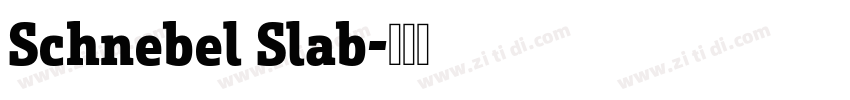 Schnebel Slab字体转换 Schnebel Slab字体转换